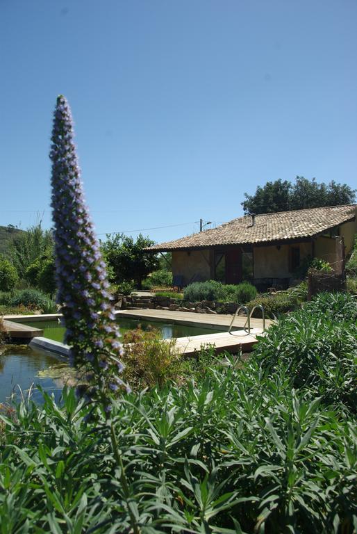 Quinta Do Arade - Casa 4 Petalas Barranco do Resgalho Kültér fotó